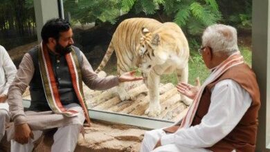 हरियाणा में बनेगी एशिया की सबसे बड़ी जंगल सफारी