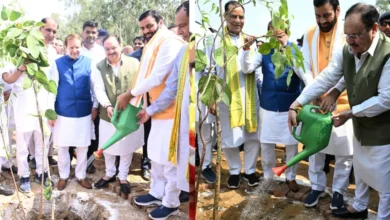 रोहतक में ‘नमो वन’ का उद्घाटन: JP नड्डा और CM सैनी ने 10,000 पौधे रोपित कर लिया पर्यावरण संरक्षण का संकल्प