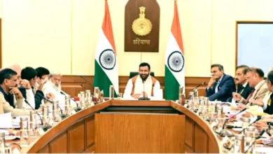 haryana cabinet meeting 08122025